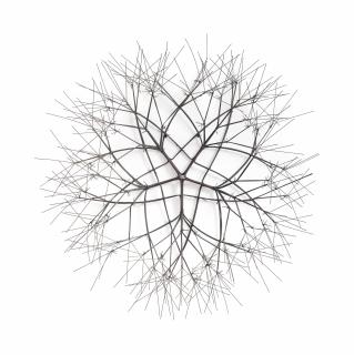 Ruth Asawa - Untitled (S.771, Wall-Mounted, Closed Center, Five-Branched Form Based On Nature)