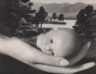 Ruth Bernhard - \'Creation\'