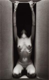 Ruth Bernhard - \'In The Box, Vertical\', 1962