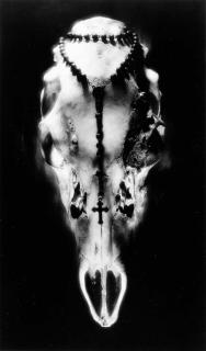 Ruth Bernhard - Skull and Rosary