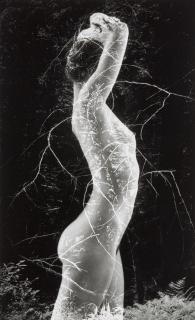 Ruth Bernhard - Symbiosis