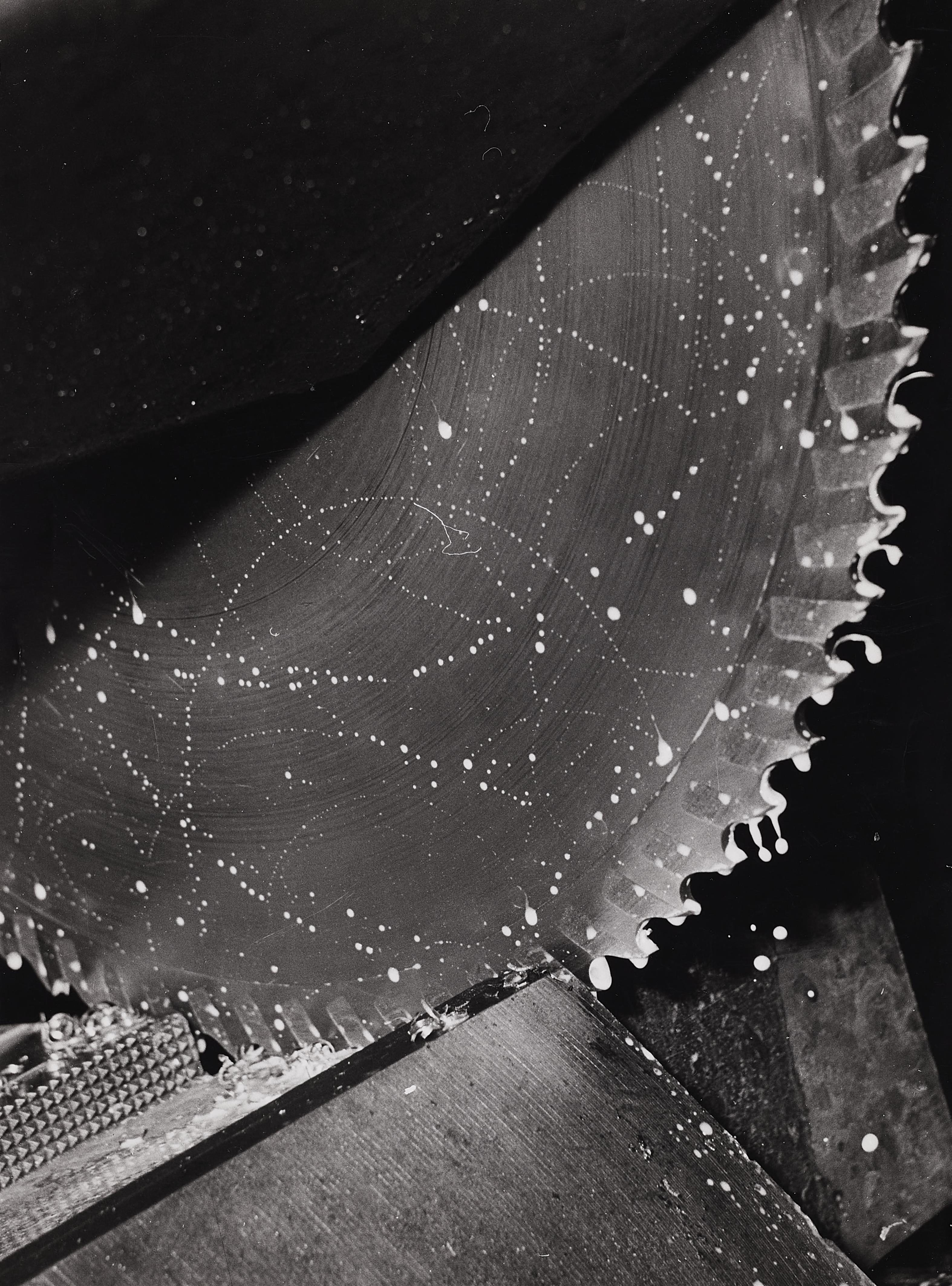 Ruth Hallensleben - Ohne Titel