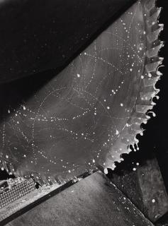 Ruth Hallensleben - Ohne Titel