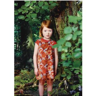 Ruud van Empel - Dutch Study In Green