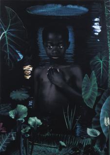 Ruud Van Empel - Moon 3\', 2006