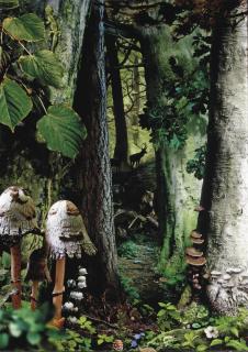 Ruud van Empel - Study in Green #16