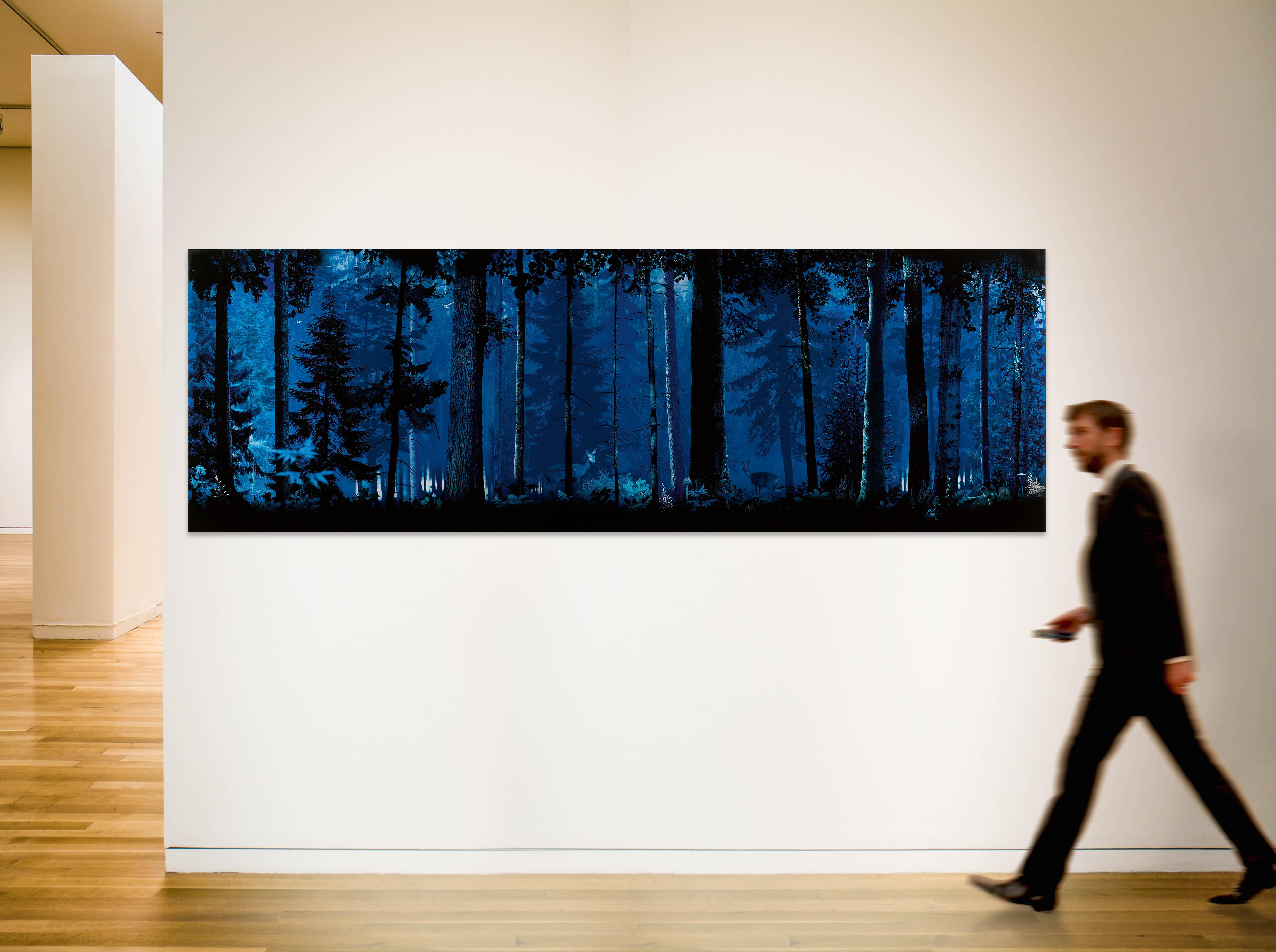 Ruud Van Empel - \'Theatre #7\', 2012