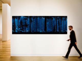 Ruud Van Empel - \'Theatre #7\', 2012