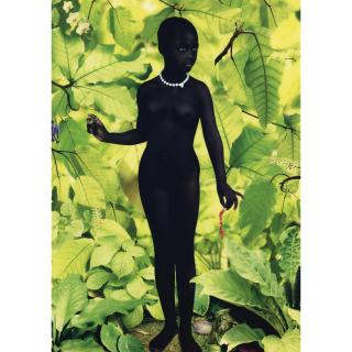 Ruud van Empel - Venus #1