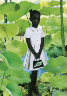 Ruud Van Empel - World #16, 2006