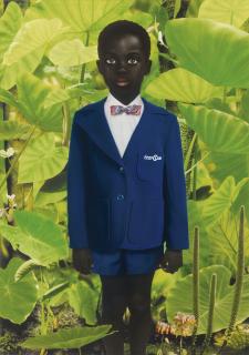 Ruud Van Empel - World #18, 2006Cibachrome Print. Signed, Titled, Dated And Numbered 3/13 In Black Felt Tip Pen On An Artist\'S Label Affixed To The Back. Diasec Mounted.