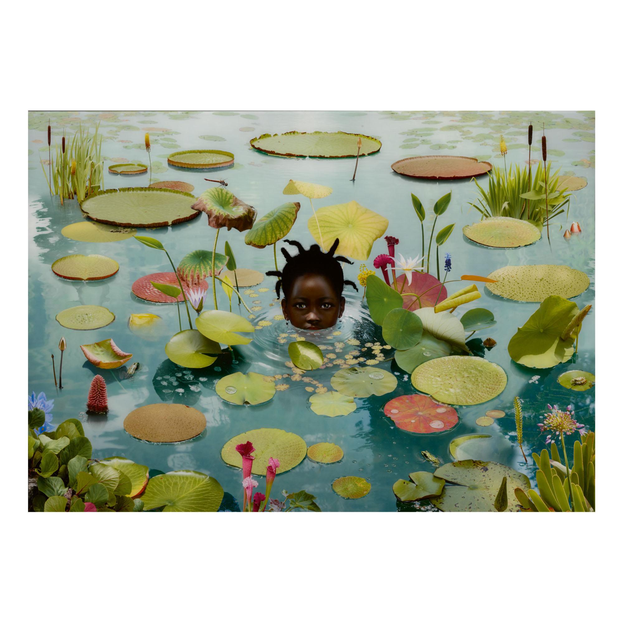 Ruud Van Empel - \'World #37\'
