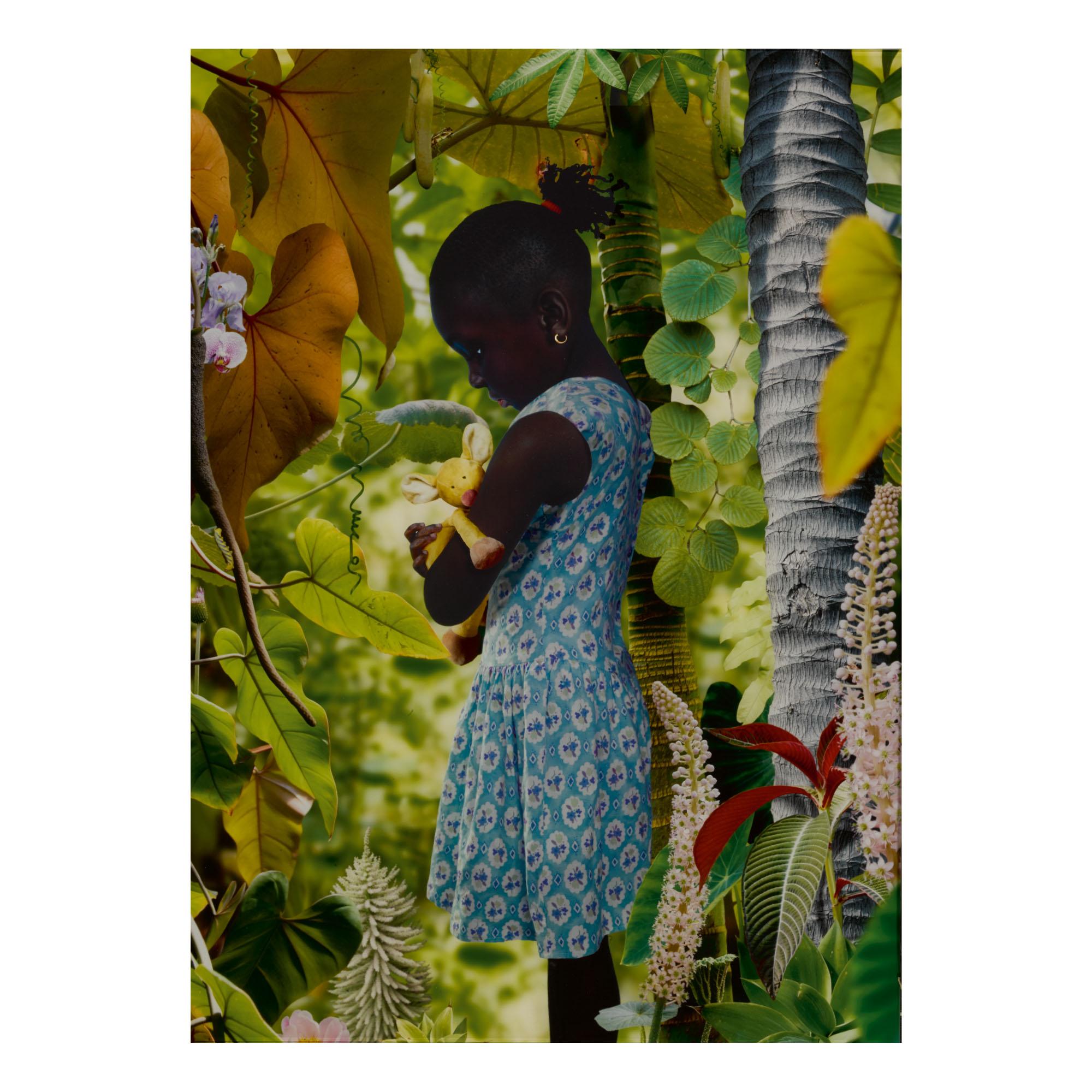 Ruud Van Empel - \'World #4\'