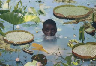 Ruud Van Empel - \'World #5\'