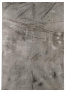 Ryan Estep - Sterilized Dirt Ba5