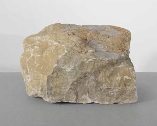 Ryan Gander - Everything is Learned, ii