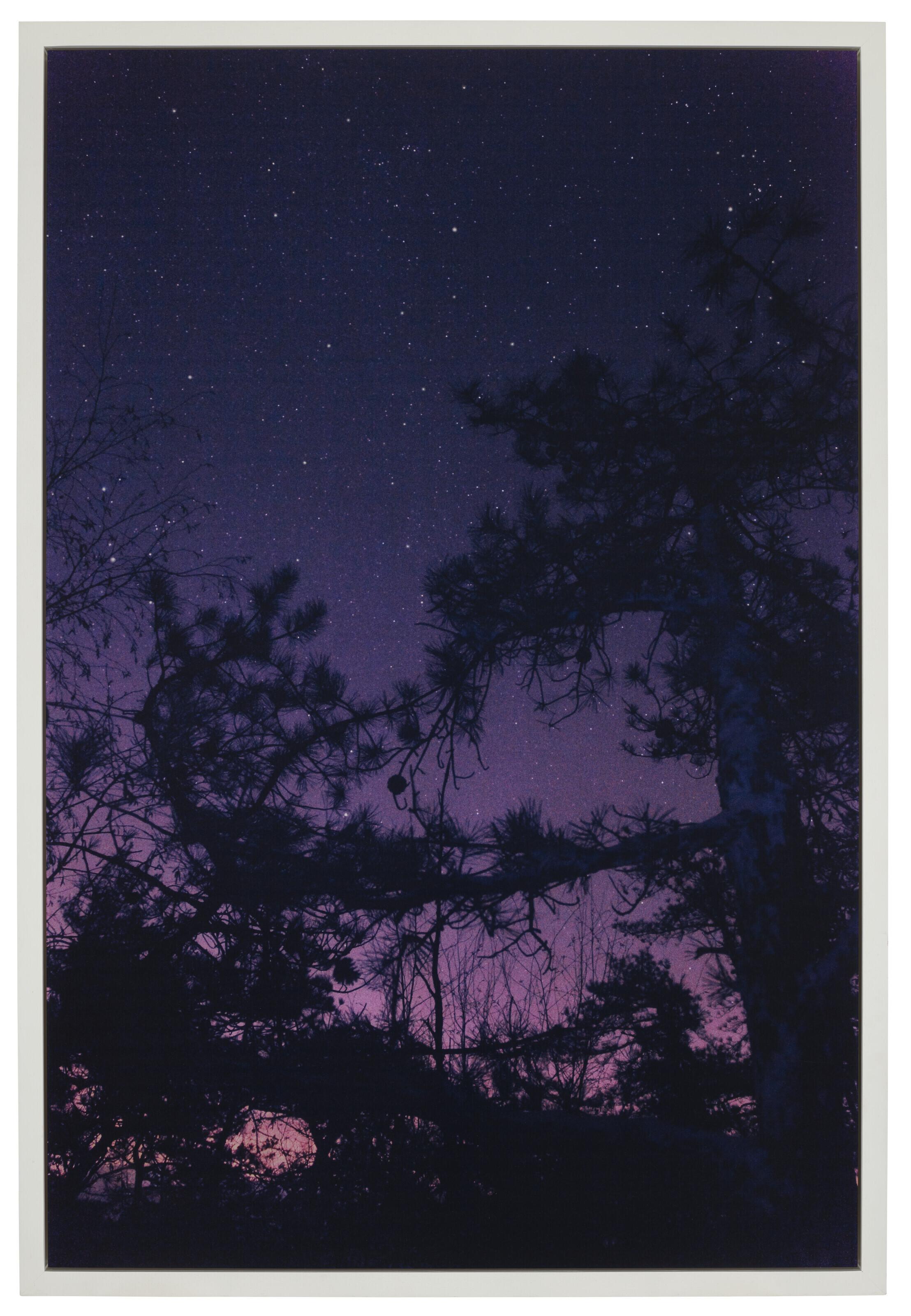 Ryan McGinley - Not yet titled (Night Sky), 2011