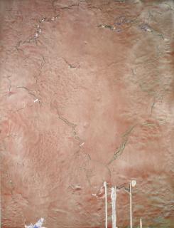 Ryan Sullivan - 14Th January 2011