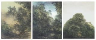 Ryozo Kato - Creek; Landscape; & Mountains