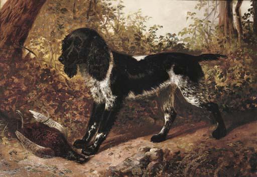 S.J. Clark - A pheasant for master