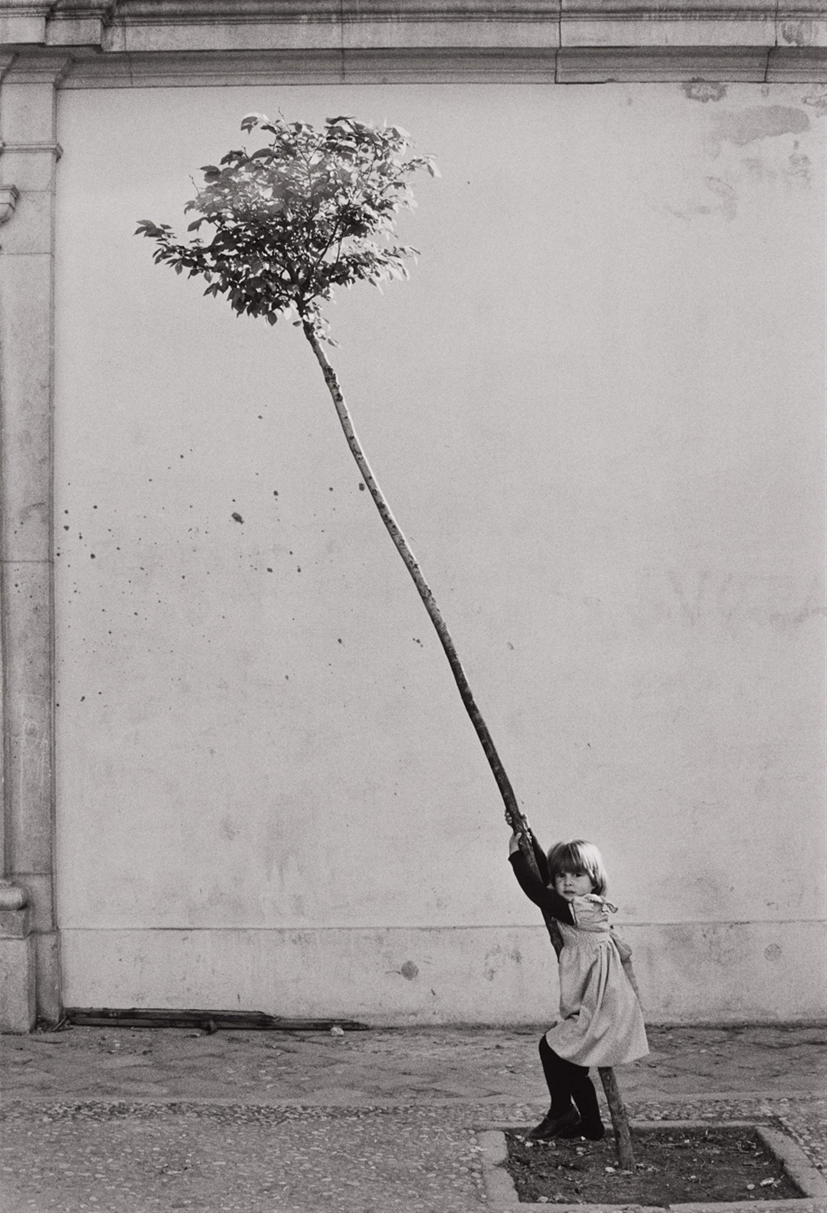 Sabine Weiss - Petite fille, petite arbre, Espagne