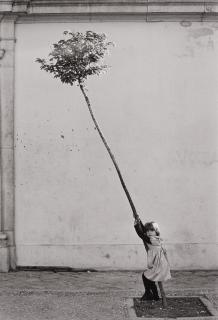 Sabine Weiss - Petite fille, petite arbre, Espagne