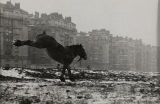 Sabine Weiss - Porte de Vanves, Paris, 1952