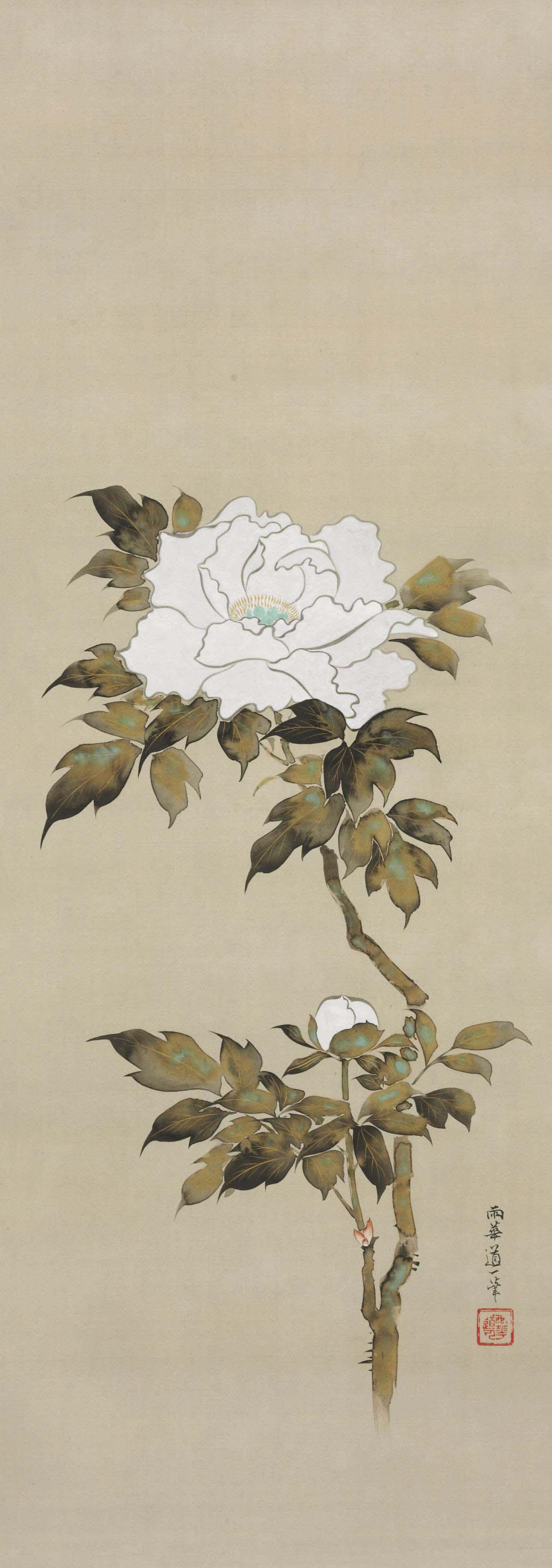Sakai Doitsu - White peony