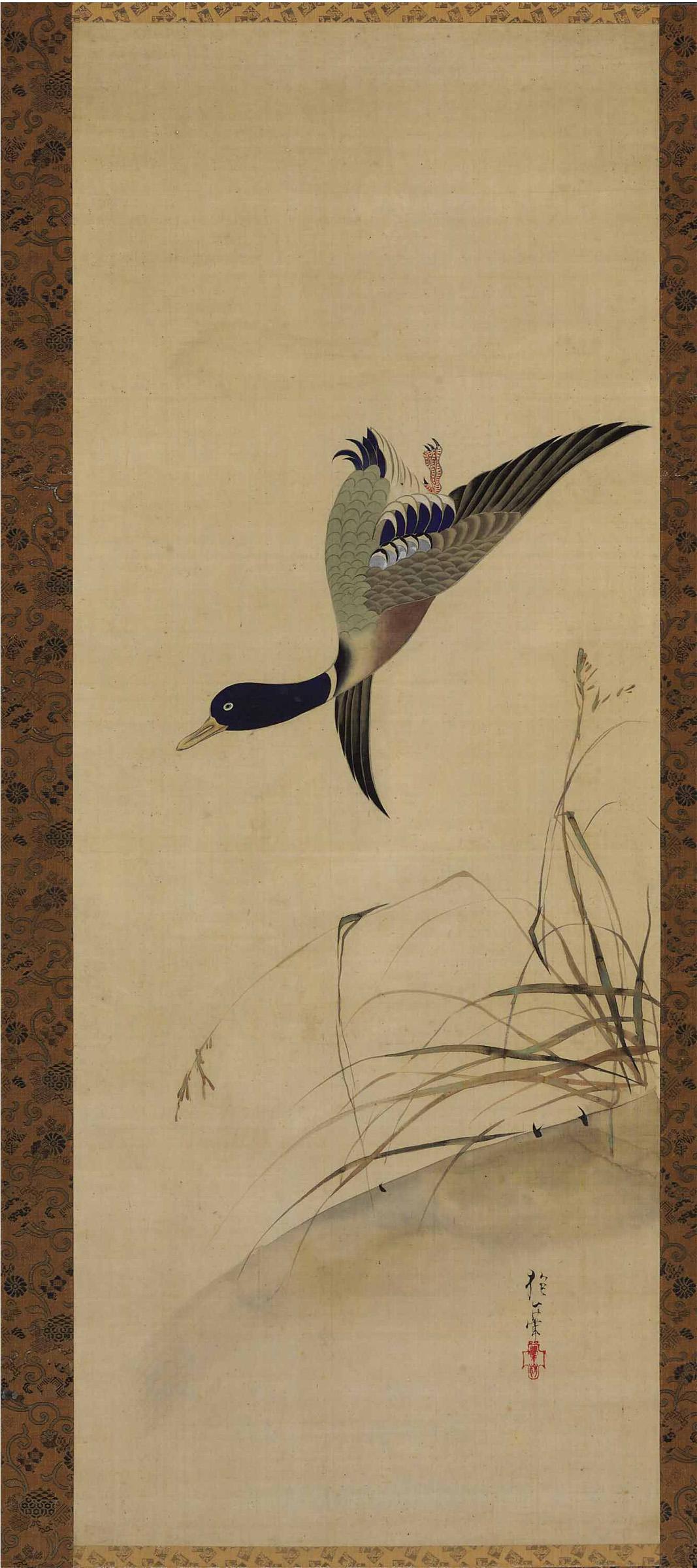 Sakai Hoitsu - Duck and reeds