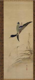 Sakai Hoitsu - Duck and reeds