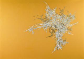 Sakan Kan-No - OG5003090 (R)