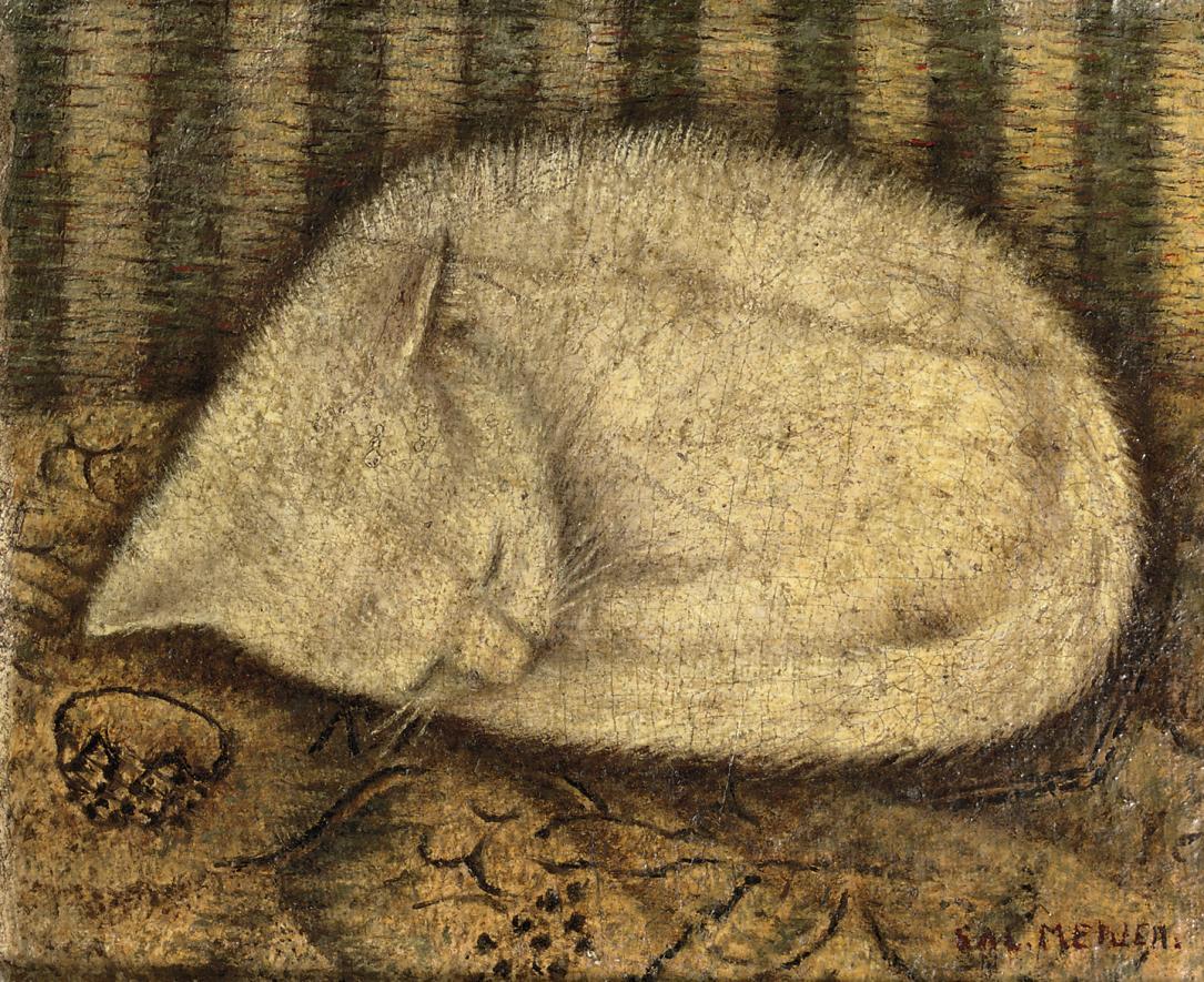 Sal Meijer - White Cat