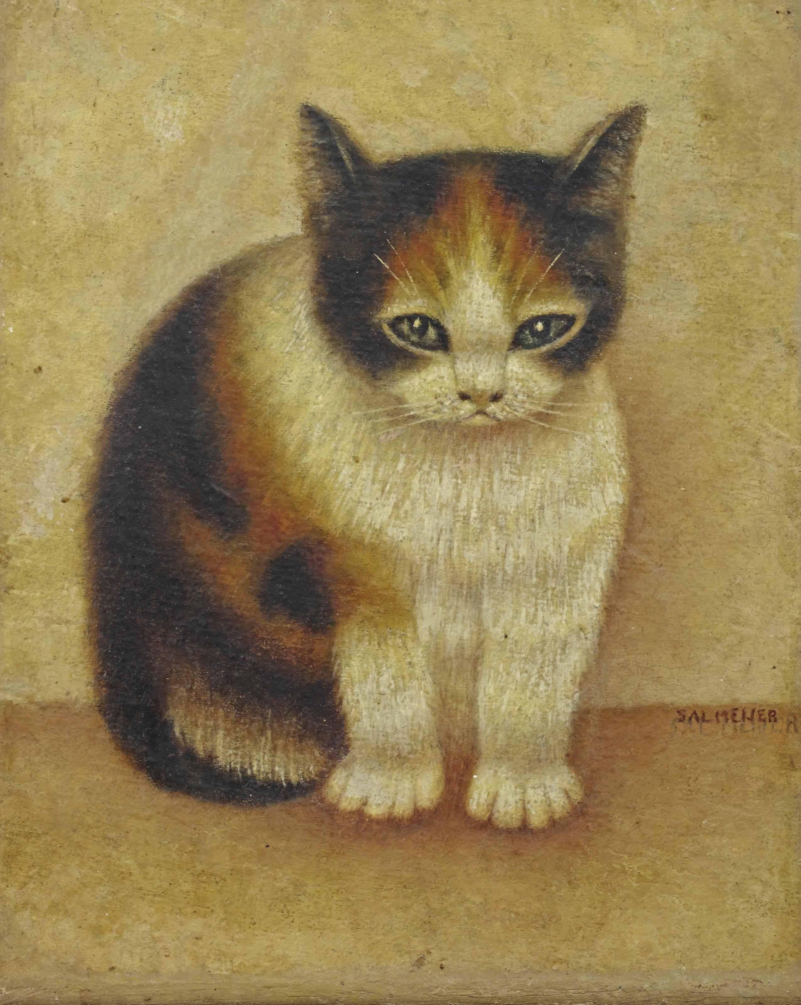 Sal Meijer - Zittend poesje