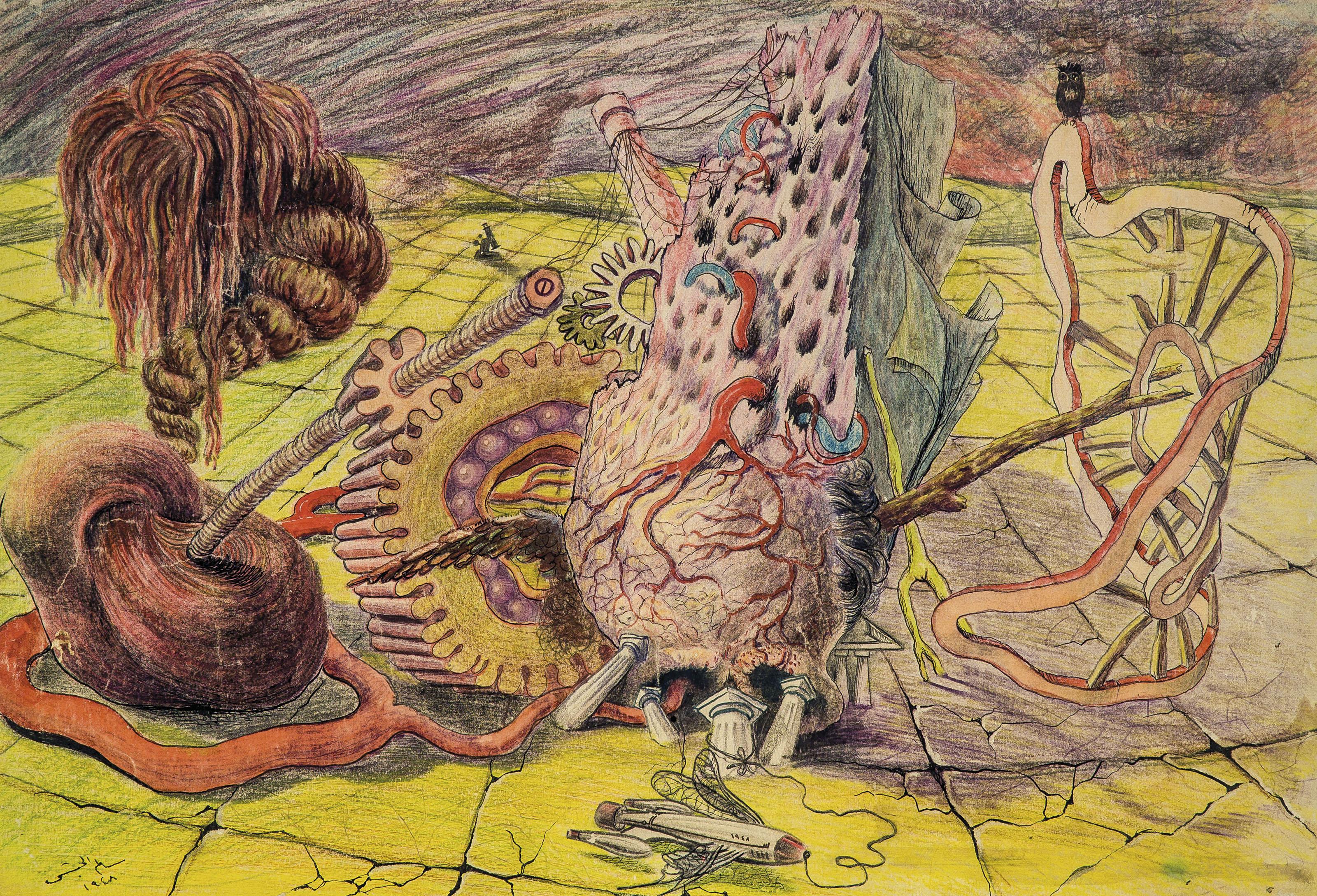 Salim Al Habschi (Mogli) - Naufrages