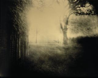 Sally Mann - Deep South, Untitled, 1998