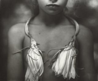 Sally Mann - Night Blooming Cereus, 1998