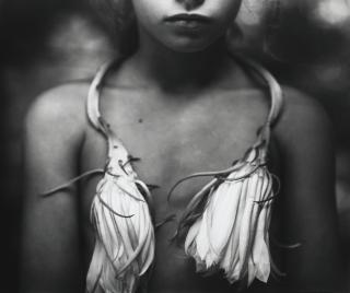 Sally Mann - \'Night Blooming Cereus\'