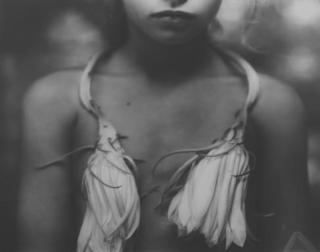 Sally Mann - Night-blooming Cereus