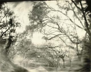Sally Mann - Untitled, 1996