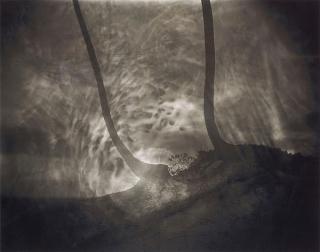 Sally Mann - \