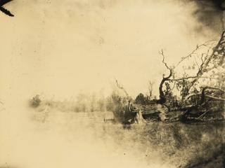 Sally Mann - Untitled (Deep South #06)