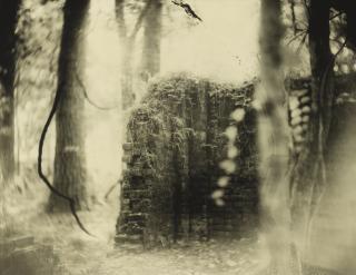 Sally Mann - Untitled (Deep South #17)