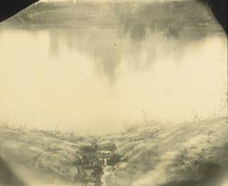 Sally Mann - Untitled (Deep South #34)