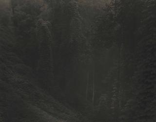 Sally Mann - Untitled, from \'Deep South\', 1996