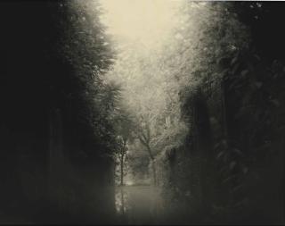 Sally Mann - Untitled from Mother Land: Virginia, 1994