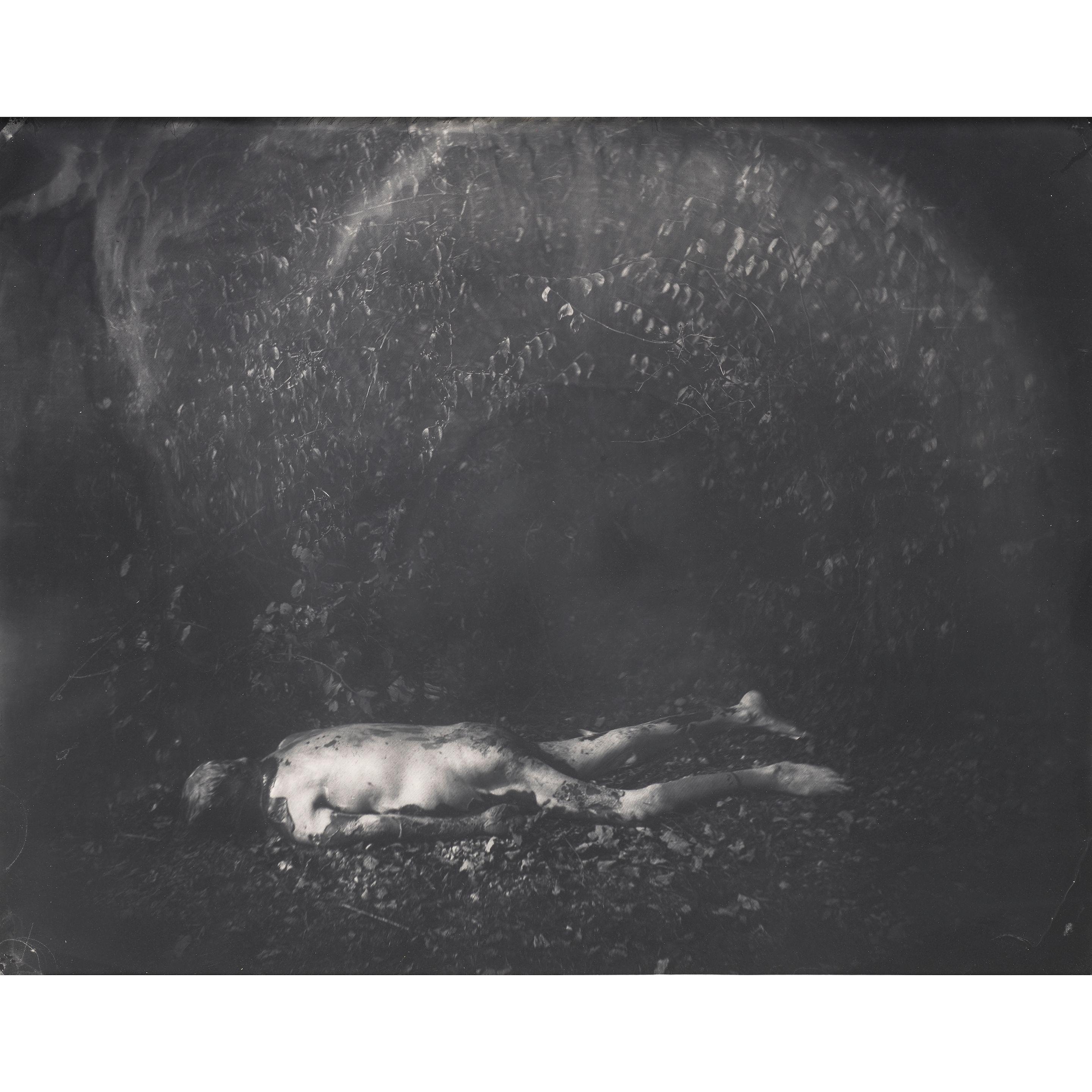 Sally Mann - Untitled (Torso) (from \'Body Farm\')