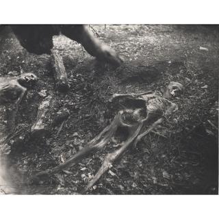 Sally Mann - Untitled (Two Skeletons) (from \'Body Farm\')