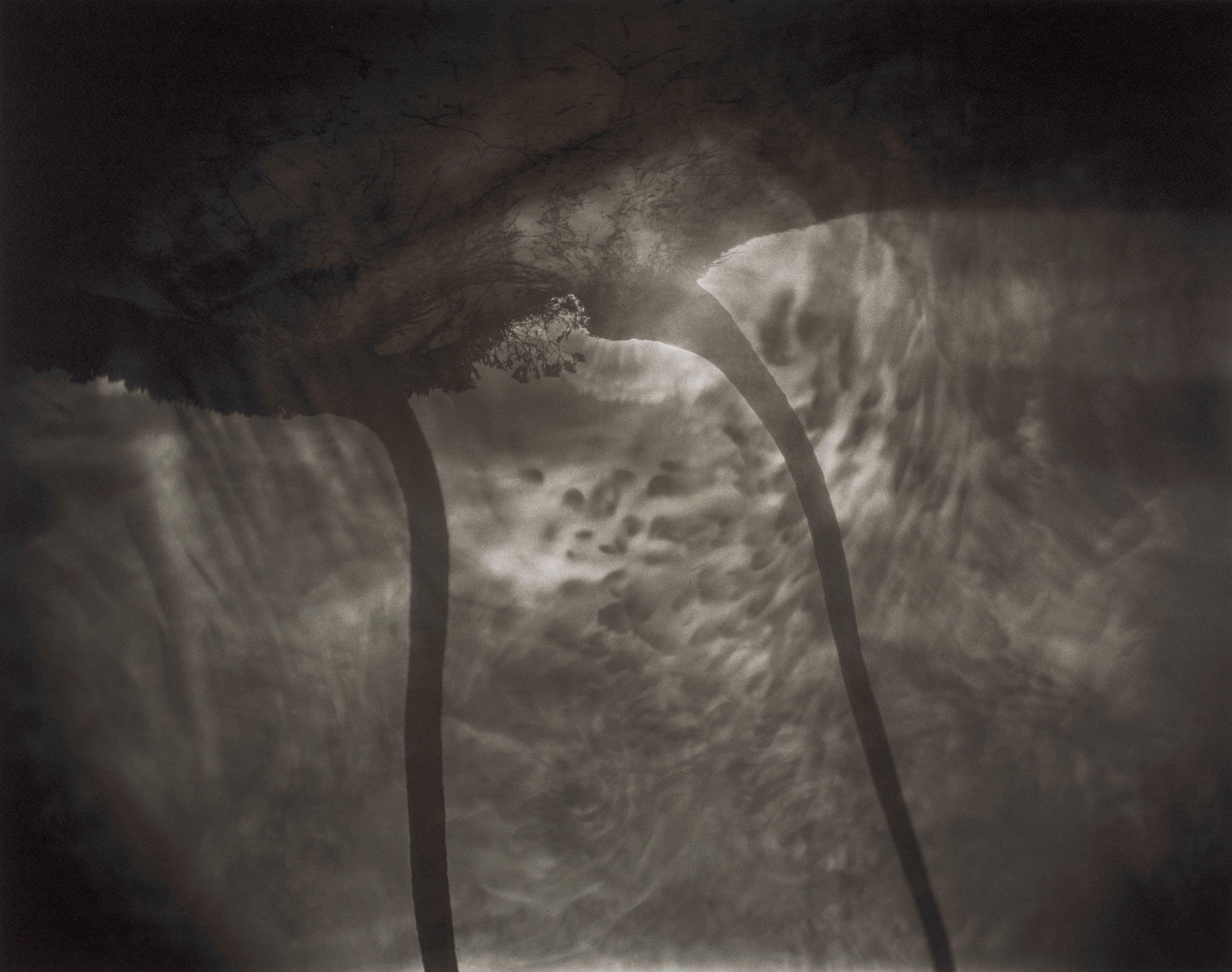 Sally Mann - Untitled