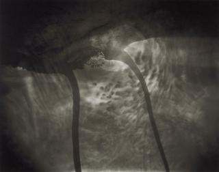 Sally Mann - Untitled
