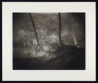 Sally Mann - Untitled